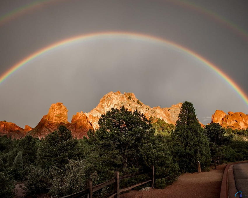 Rainbow over the mountains, sky, rainbows, tree, mountain HD wallpaper
