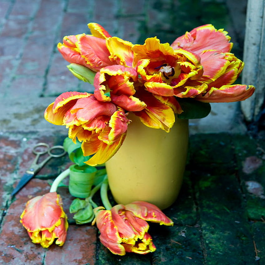 tulipany, wiejski, czerwony, żółty Tapeta HD