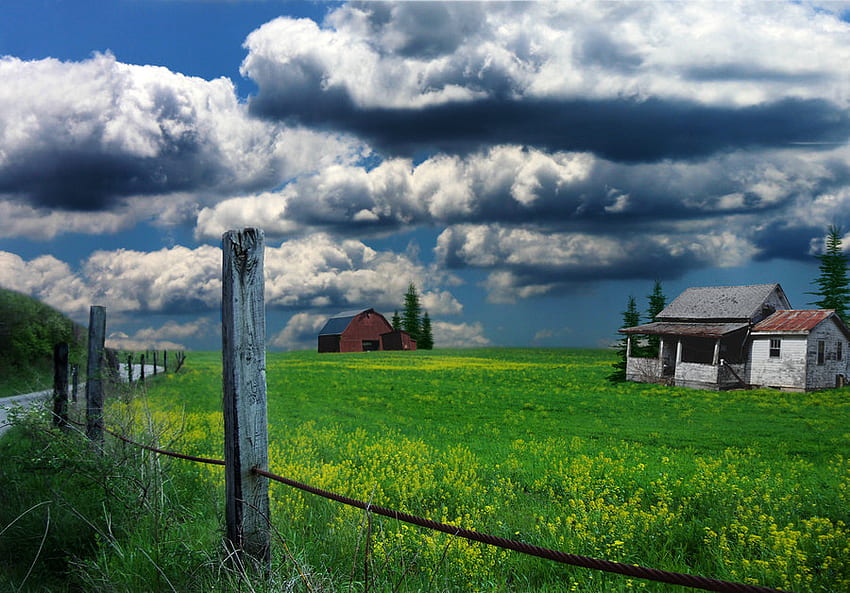 green fields, plants, green, house, clouds, fields, sky, grass HD wallpaper