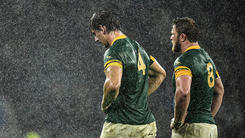 Report: South Africa to witraw from opening rounds of Rugby Championship HD wallpaper