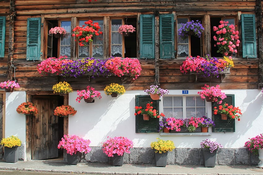 Bike Switzerland Flower House – Bicycle Touring Pro HD wallpaper