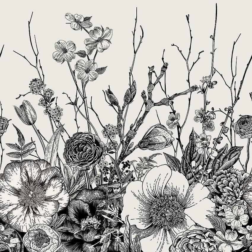 Bungalow Rose Pemberton, abnehmbare Vintage-Blumenmischung, 6,25' L x 75 W, Abzieh- und Kleberolle, schwarz, Vintage-Blumenmuster HD-Handy-Hintergrundbild