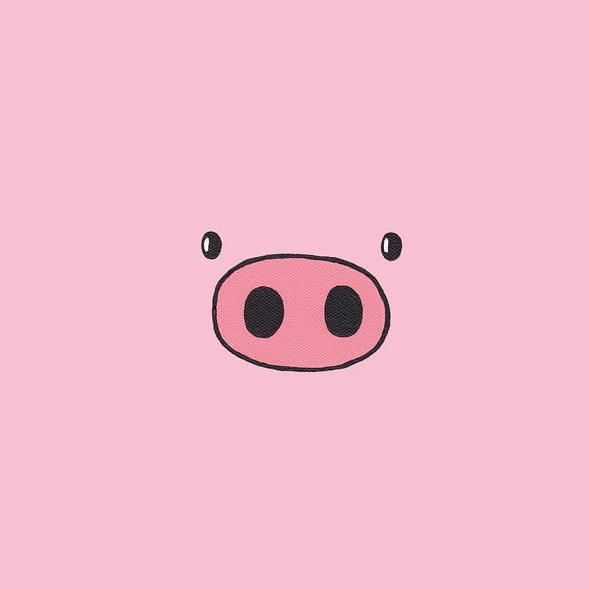 豚のセルディトス。 かわいい、かわいい、豚の顔 HD電話の壁紙