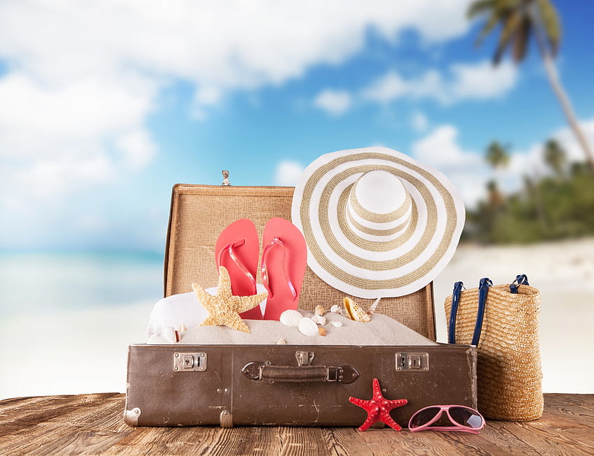 Summer Vacation, summer, accessories, tropical, vacation, beach HD wallpaper