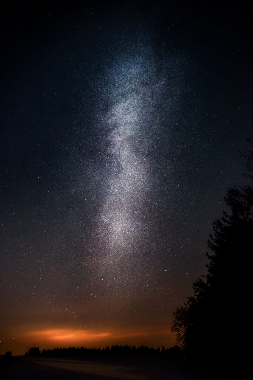ธรรมชาติ ดาว กลางคืน ไม้ ต้นไม้ ท้องฟ้าเต็มไปด้วยดวงดาว วอลล์เปเปอร์โทรศัพท์ HD