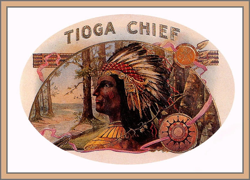 Chef Tioga, chef, autre, peuple, indien, boîte à cigares, art populaire Fond d'écran HD