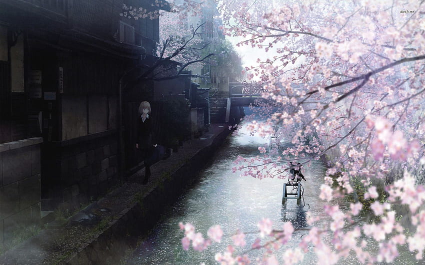 Chodzenie po drzewie wypełnionym kwiatami wiśni, Anime Cherry Blossom Tree Tapeta HD