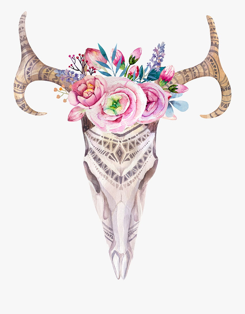 Antlers Png - Bohemian Deer Skull Print, Boho Clip Art HD phone wallpaper