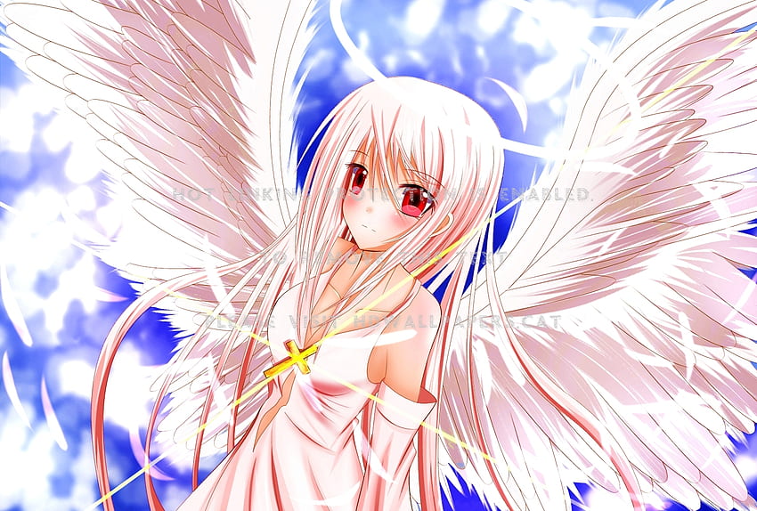 Ali D Angelo Png  Anime Angel Wings Png  539x457 PNG Download  PNGkit