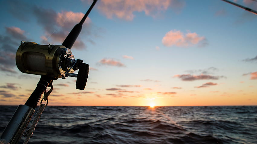Sea Ocean Fishing Rod and Reel - フィッシングロッド - - 高画質の壁紙