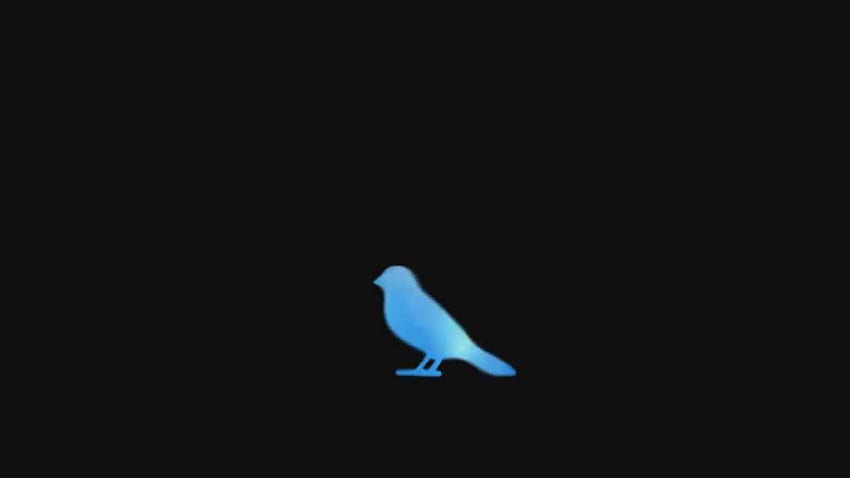 Anieway】Blue Bird 【Fandub Latino】, Blue Bird Naruto HD wallpaper
