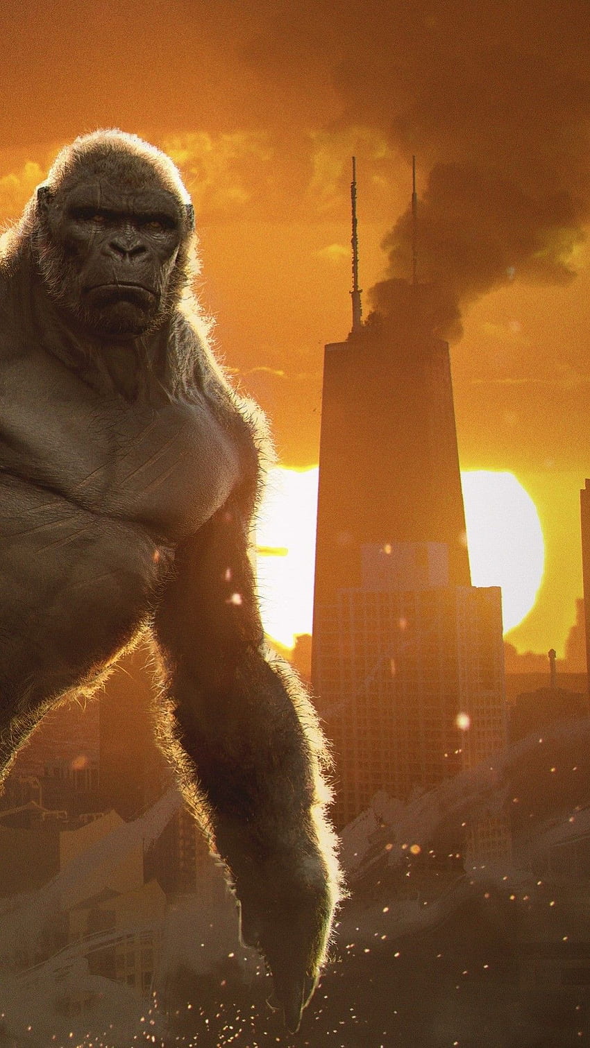 Godzilla kontra Kong , King Kong, Filmy 2020, Filmy Tapeta na telefon HD