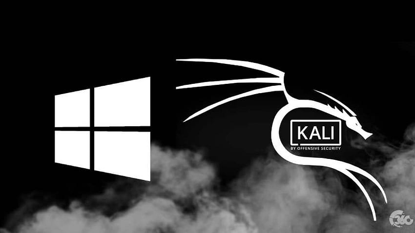 Kali Linux, Kali Linux Windows HD wallpaper