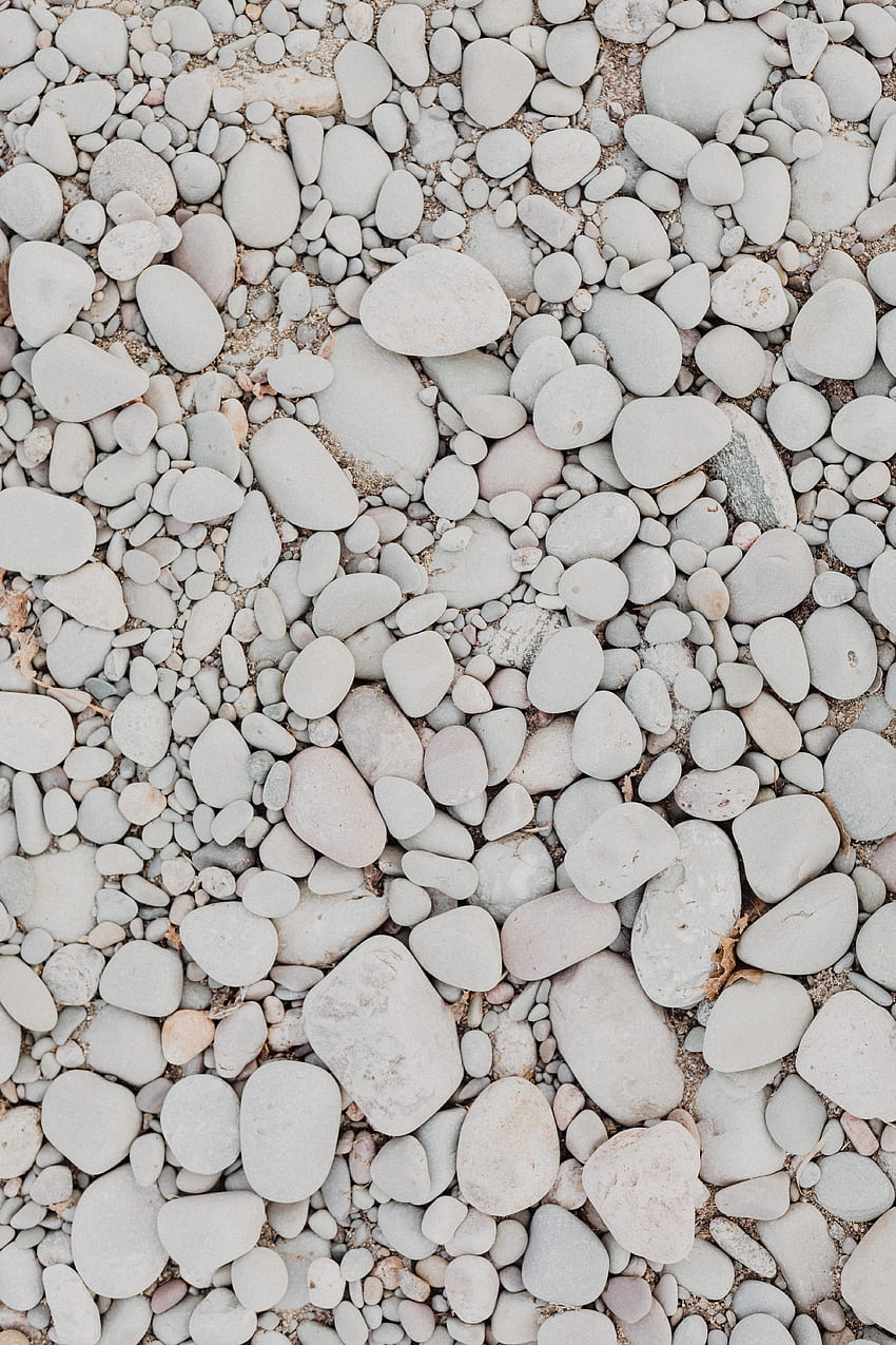 Kerikil putih, batu, tekstur wallpaper ponsel HD