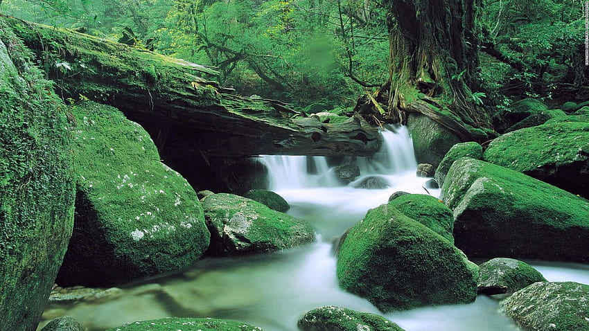 most beautiful places in Japan (), Beautiful Nature Japan HD wallpaper