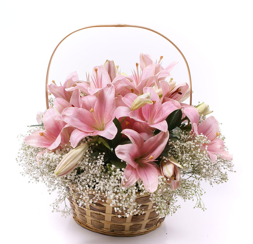 Bouquet, graphy, bellezza, bello, cesto, fiore, bianco, elegantemente, bello, giglio, delicatamente, natura morta, rosa, carino, fresco, fiori, gigli, adorabile, armonia Sfondo HD