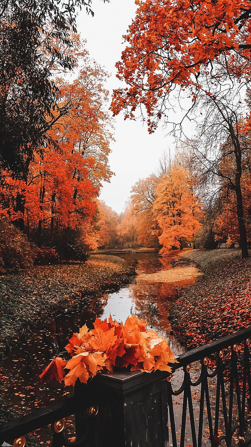 ؁︎·̩͙✧, Perfekter Herbst HD-Handy-Hintergrundbild