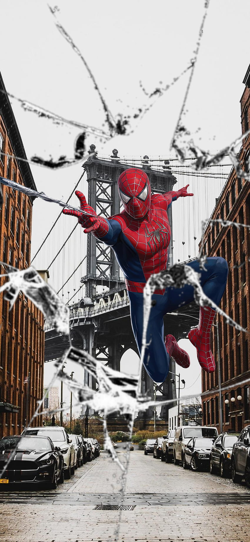 Spiderman no way home, nowayhome, nueva york, pelicula fondo de pantalla  del teléfono | Pxfuel