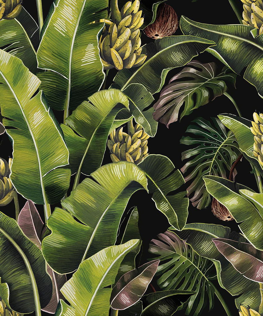 Kingdom Palm • Banana Leaf • Milton & King, Jungle Leaf HD phone wallpaper  | Pxfuel