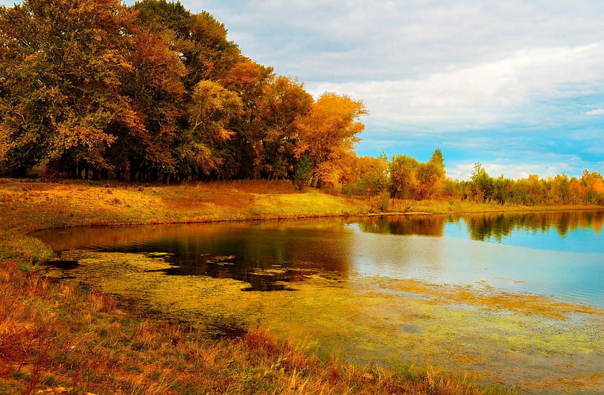 Есен на езерото, есен, облаци, дървета, есен, небе, вода, езеро HD тапет