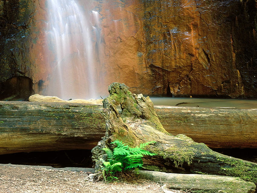 waterfall, brown, wood, beautiful nature, stone, peaceful, water, rocks HD wallpaper