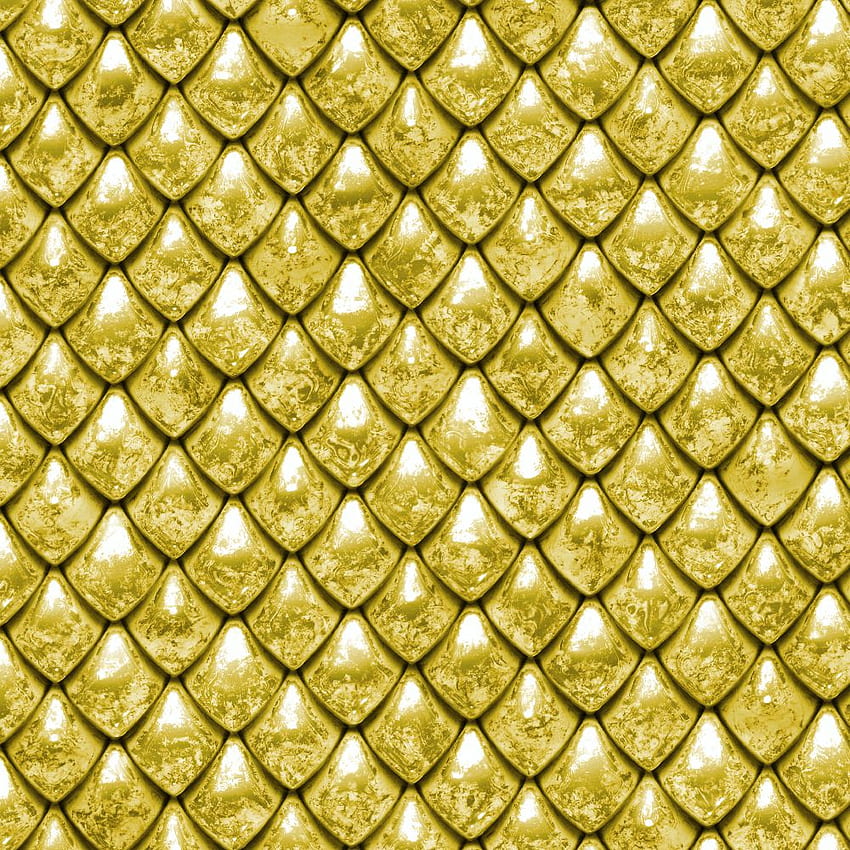 Escamas de Dragão Douradas – Equipe Padrão Papel de parede de celular HD