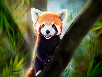 Red Panda Giant Panda Bear World Desktop Wallpaper PNG 1566x537px Red  Panda Animal Art Bear Cartoon