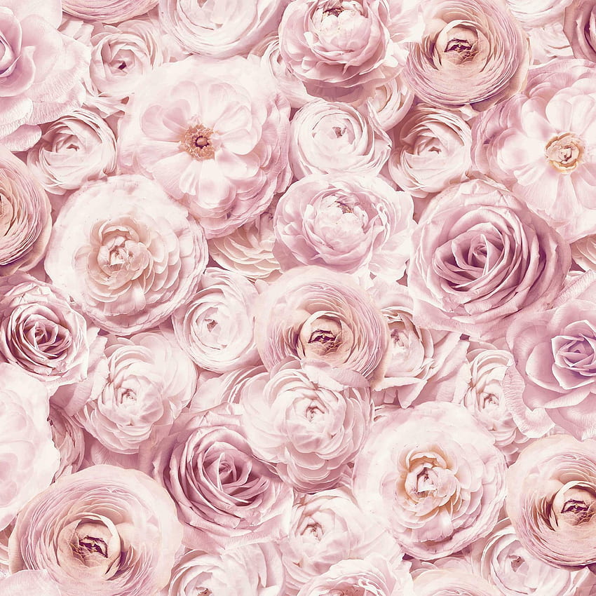 Arthouse Wild Rose Floral Blush Metallic - 901700 online, Rustic Rose Sfondo del telefono HD