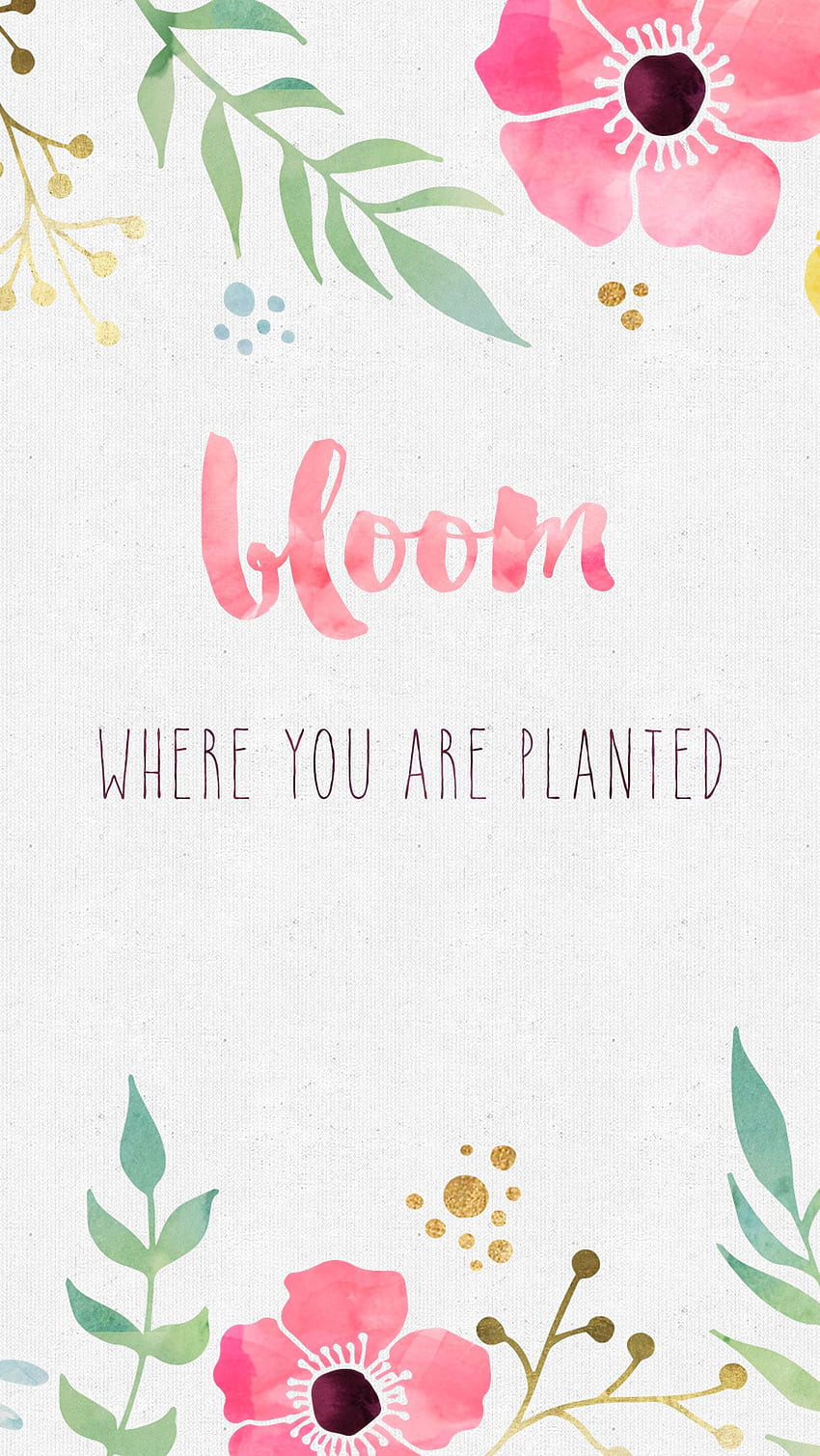 - Bloom où vous êtes plantés Fond d'écran de téléphone HD