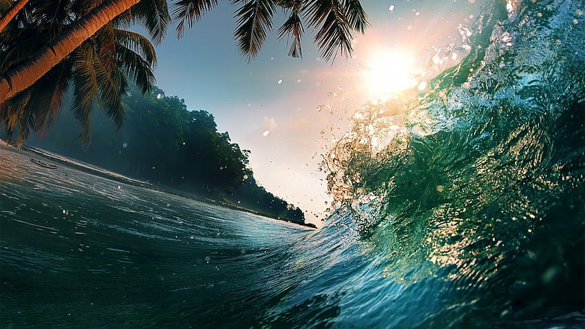 Wave, , , , ocean, palms, sun (horizontal). Fondo, Underwater HD wallpaper