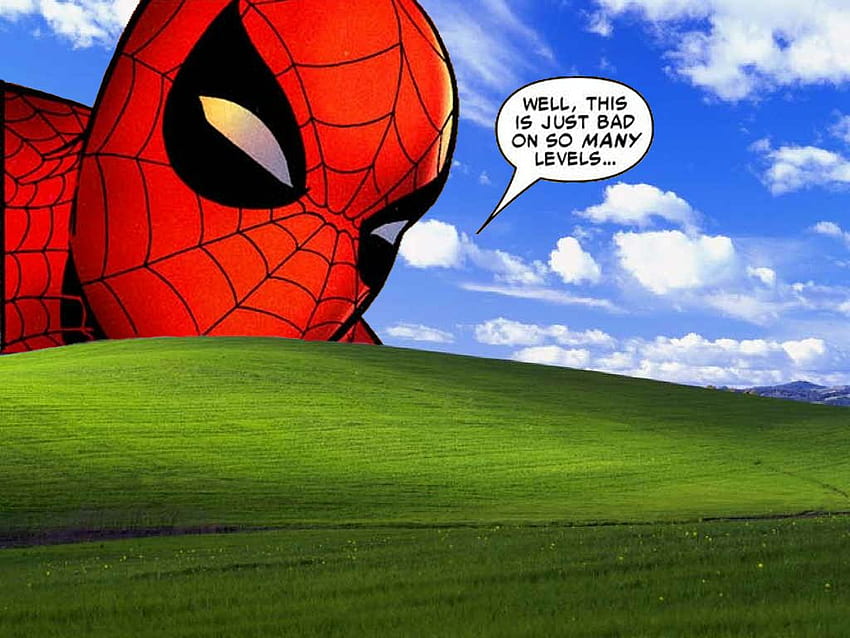 Spider Man Meme, lustiger Spiderman HD-Hintergrundbild