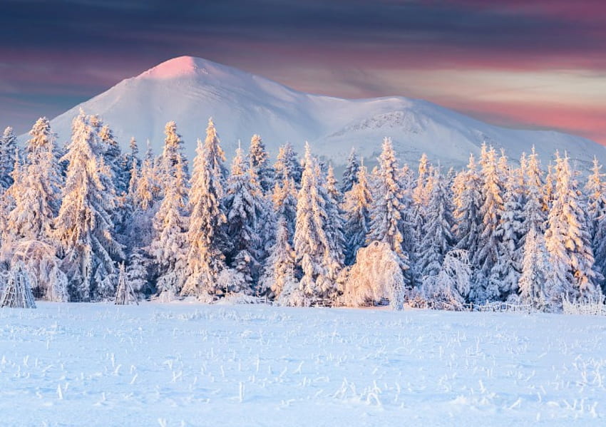 Inverno Alba, inverno, freddo, alba, sentiero, neve, nuvole, cielo, montagne, ghiaccio Sfondo HD