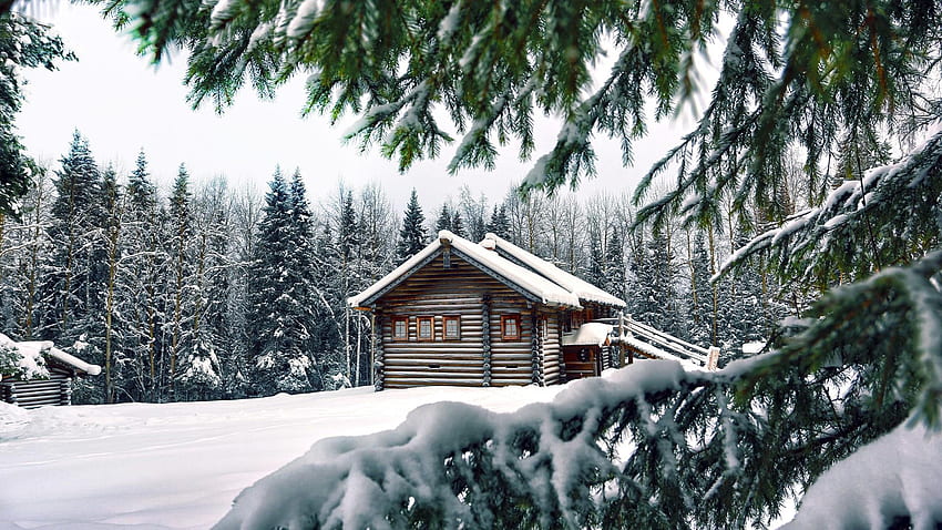 Snowy Log Cabin In The Fir Forest . Studio 10, Log Cabin Landscape HD wallpaper