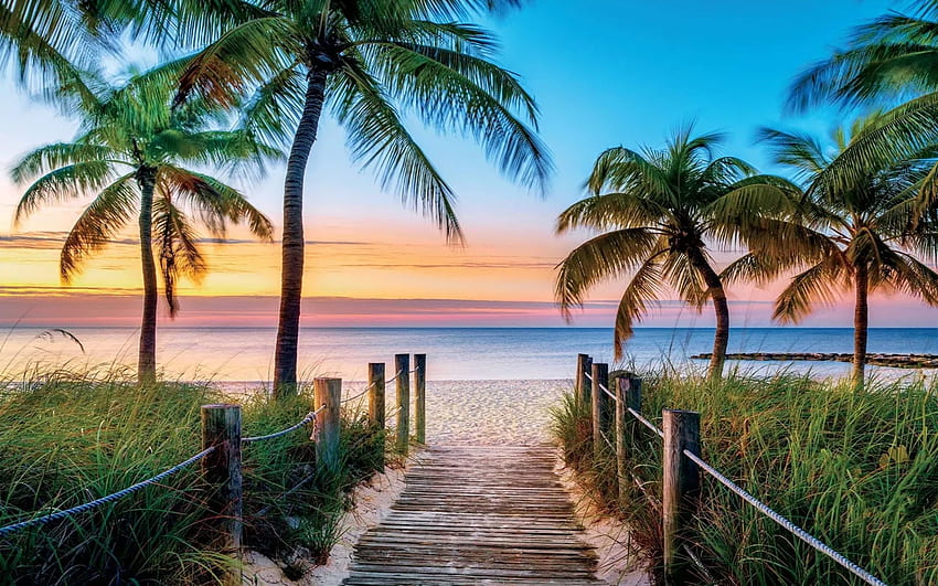 Key West, Florida, laut, jalan setapak, warna, langit, amerika serikat, pohon palem, matahari terbenam Wallpaper HD