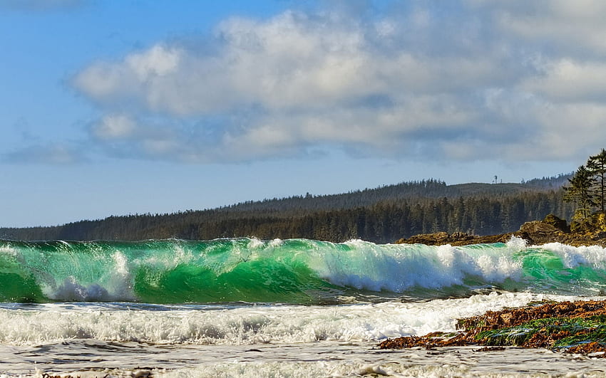 Nature, Sea, Shore, Bank, Foam, Surf HD wallpaper