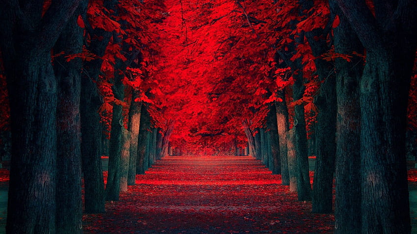 Colossally Beautiful Places That Make You Realize That Paradise, Black and Red Japanese HD wallpaper