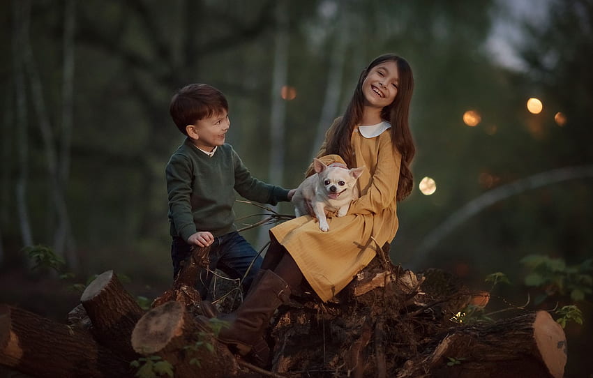 forest, joy, nature, children, animal, dog, boy, girl, stumps, dog, Julia Kubar for , section настроения, Girl With Dog HD wallpaper