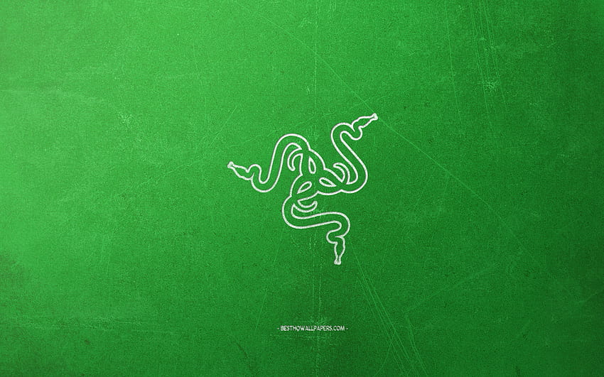 Logo Razer, zielone tło, białe kredowe logo, godło Razer, retro zielone tło, Razer, sztuka kreatywna, styl retro Tapeta HD