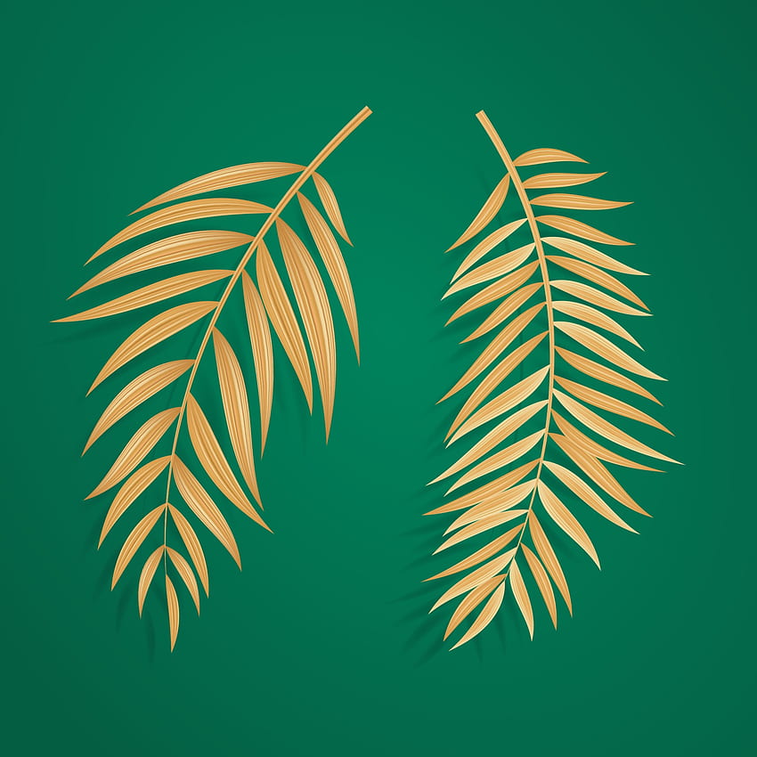 Abstrakcyjna Realistyczna Zielona Palma Liść Tropikalny Tło 2444302 Grafika wektorowa w Vecteezy Tapeta na telefon HD