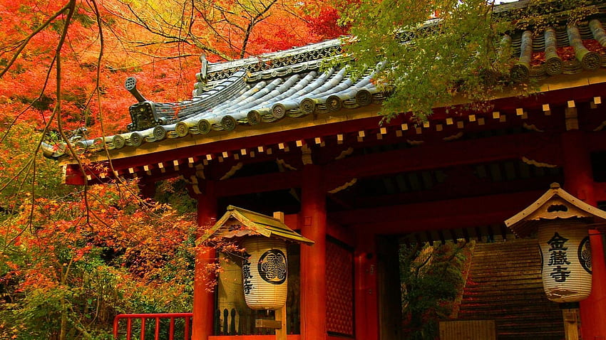 Japon Asya oryantal mimari binalar ahşap tik sanatsal çatı kiremitleri doğa ağaçları orman sonbahar sonbahar mevsimler bırakır renk bırakır. HD duvar kağıdı