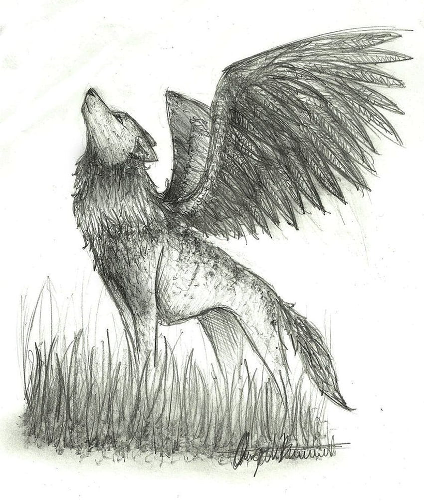 Sketch Winged Wolf. Dog drawing simple, Cats art drawing, Dog drawing HD phone wallpaper