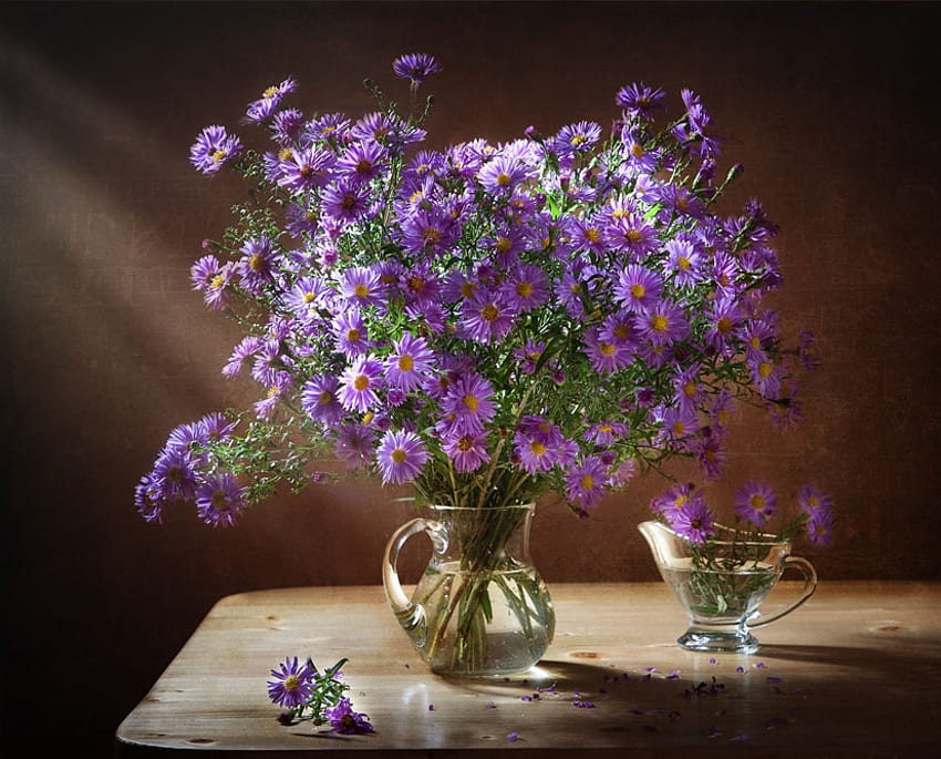 aster, purple, still life, autumn, flowers HD wallpaper