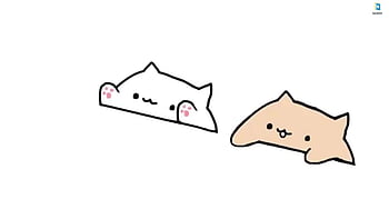 Nyan Cat or Bongo Cat by ermagix on DeviantArt