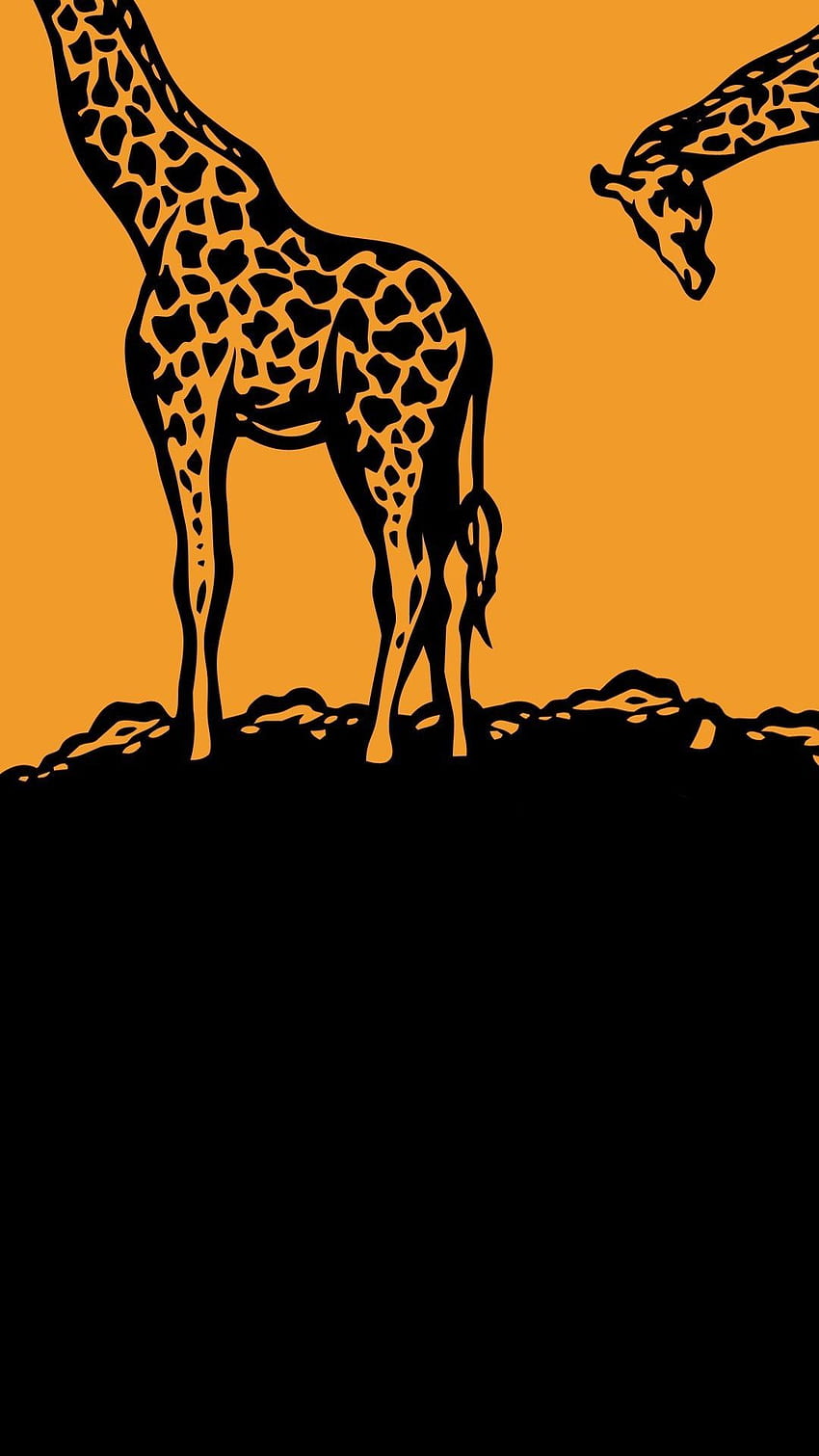 Giraffe, safari, funny, HD phone wallpaper | Peakpx