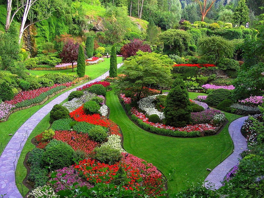 Nature, Flowers, Trees, Grass, Path, Garden, Lawn, Well Maintained, Well-Groomed, Paths HD wallpaper
