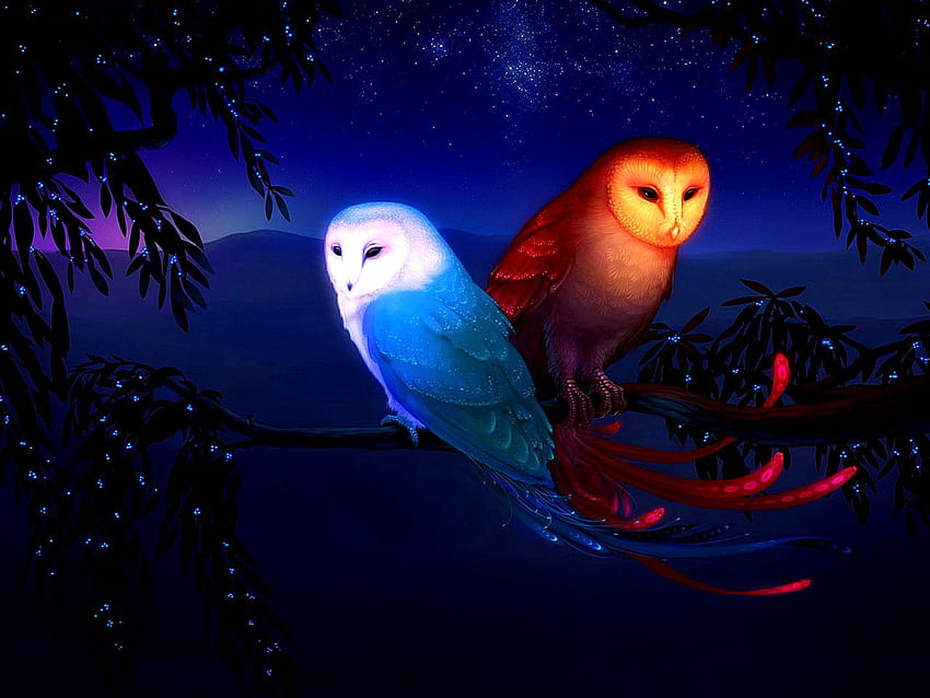 Owls Fantasy Owls And Background - Fire, Art Owl HD wallpaper