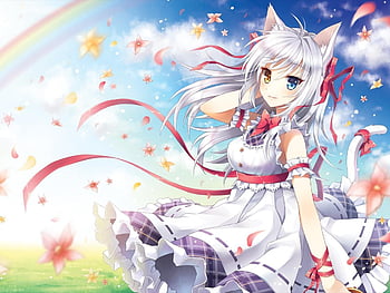 Cat Girl . New . Anime, Anime Neko Maid HD wallpaper | Pxfuel