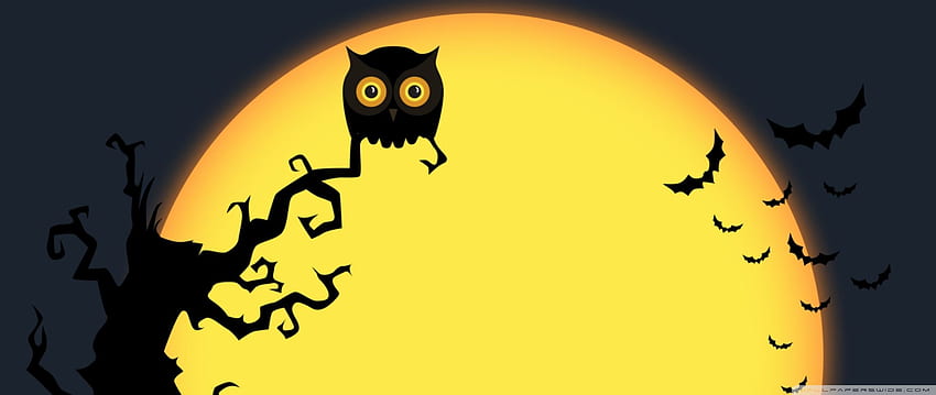 Halloween Full Moon Night, Owl, Bats, Jack O Lantern Ultra Background For U TV : & UltraWide & Laptop : Tablet : Smartphone, Night Owl Cartoon HD wallpaper