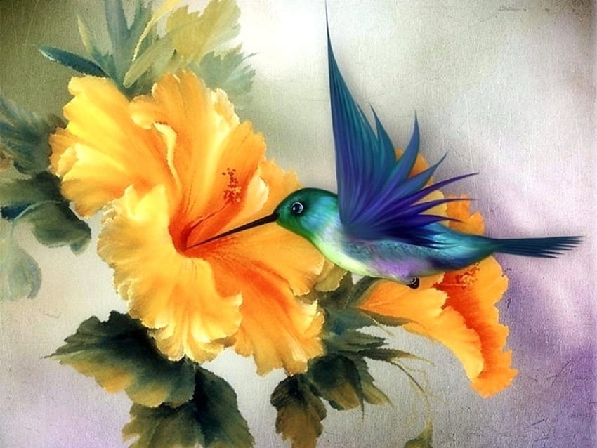Tiny Wings, wings, birds, colors, lovely still life, spring, summer, love four seasons, animals, hummingbird, nature, flowers HD wallpaper
