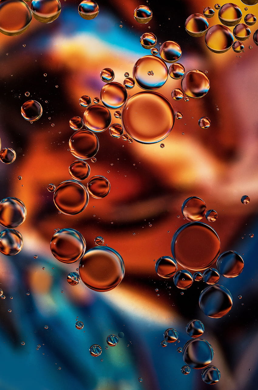 Bubbles, Transparent, Macro, Liquid HD phone wallpaper